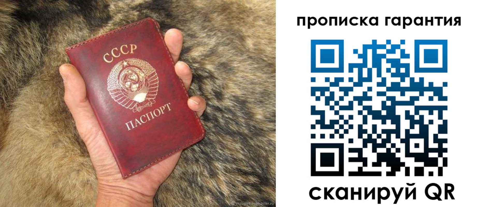 временная регистрация гарантия в Острове